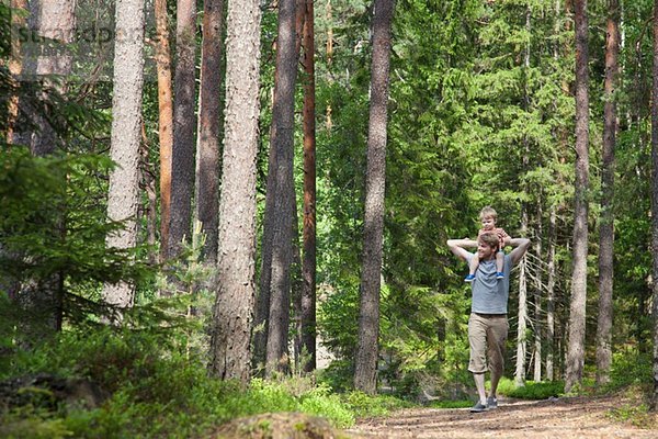 Vater Schulter trägt Kleinkind Sohn durch den Wald  Somerniemi  Finnland