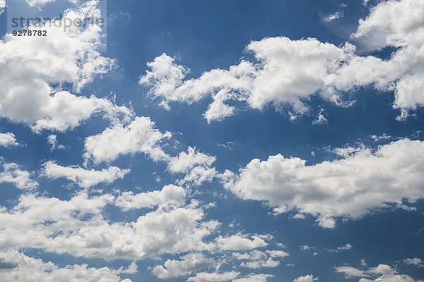 Haufenwolken oder Cumuluswolken und blauer Himmel