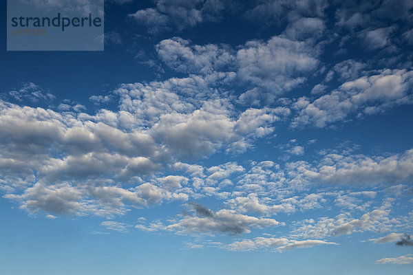 Stratocumuluswolken und blauer Himmel