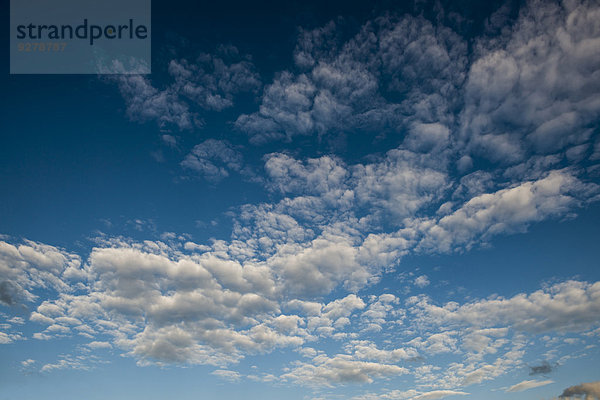 Stratocumuluswolken und blauer Himmel