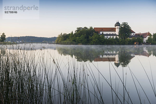 Morgenstimmung am Kloster Seeon im Seeoner See  Seeon-Seebruck  Chiemgau  Oberbayern  Bayern  Deutschland