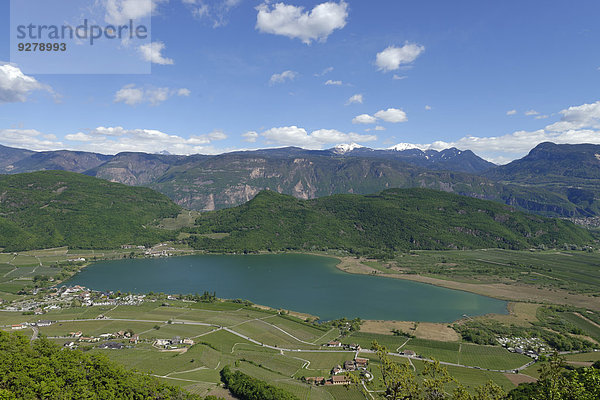 Kalterer See  von Altenburg  Kaltern  Überetsch  Südtiroler Unterland  Südtirol  Alto Adige  Italien