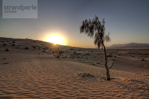 Wüste  Dasht-e Kavir  Semnan  Iran