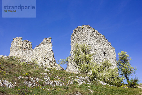 Die Ruinen der Burg Sirot?í Hrádek  Palava Landschaftsschutzgebiet  Bezirk Breclav  Jihomoravsky Region  Tschechien