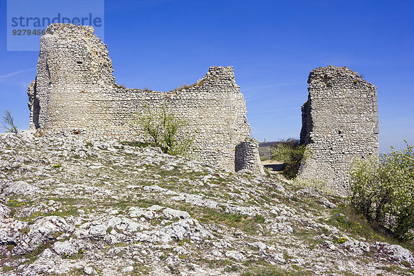Die Ruinen der Burg Sirot?í Hrádek  Palava Landschaftsschutzgebiet  Bezirk Breclav  Jihomoravsky Region  Tschechien