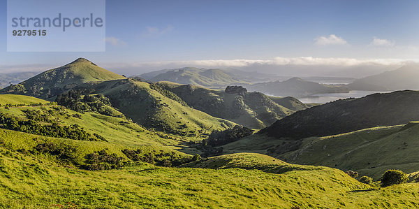 Grünes hügeliges Weideland mit Ausblick auf die Bucht Hoopers Inlet  Otago Peninsula  Südinsel  Neuseeland