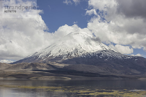 See Chungará und Vulkan Parinacota  Putre  Región de Arica y Parinacota  Chile