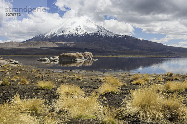 See Chungará und Vulkan Parinacota  Putre  Región de Arica y Parinacota  Chile