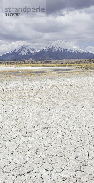 Ausgetrockneter Salzsee und links der Vulkan Parinacota und Pomerape  Putre  Región de Arica y Parinacota  Chile