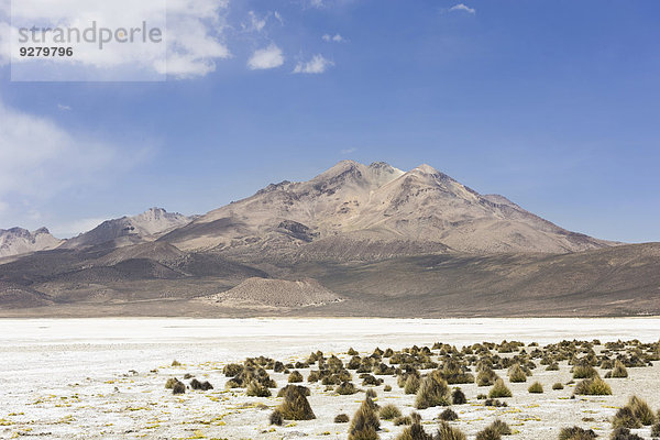 Salzsee Salar de surire  zum Teil Mine und zum Teil Naturschutzgebiet  Putre  Región de Arica y Parinacota  Chile