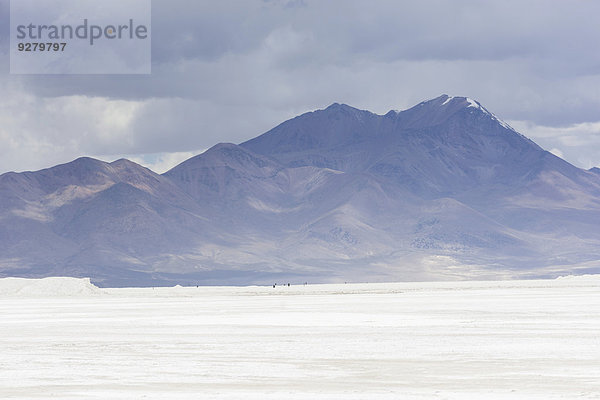 Salzsee Salar de surire  zum Teil Mine und zum Teil Naturschutzgebiet  Putre  Región de Arica y Parinacota  Chile