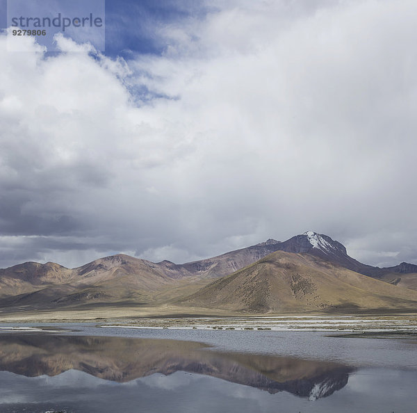 Salzsee Salar de surire  Putre  Región de Arica y Parinacota  Chile