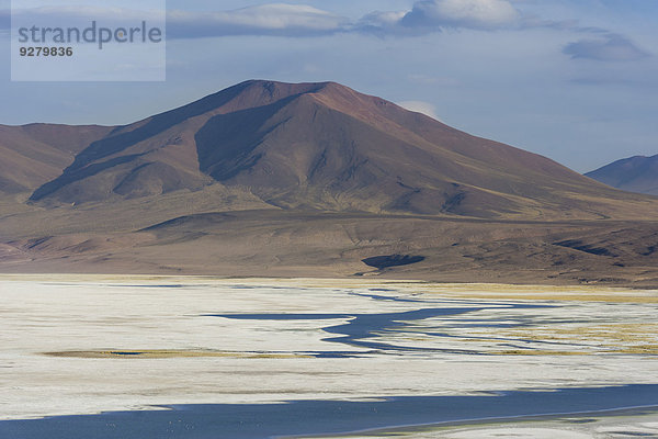 Salzsee Salar del Huasco  Pica  Región de Tarapacá  Chile