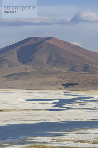 Salzsee Salar del Huasco  Pica  Región de Tarapacá  Chile