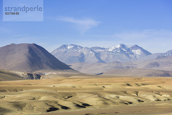 Hochland  San Pedro de Atacama  Región de Antofagasta  Chile