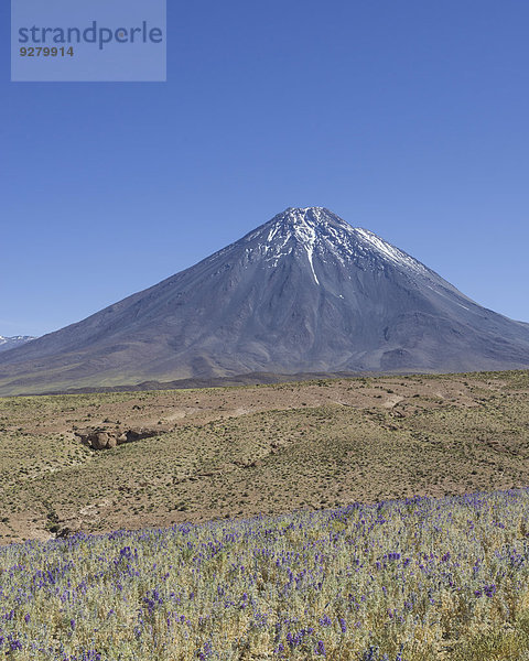 Vulkan Licancabur  San Pedro de Atacama  Región de Antofagasta  Chile