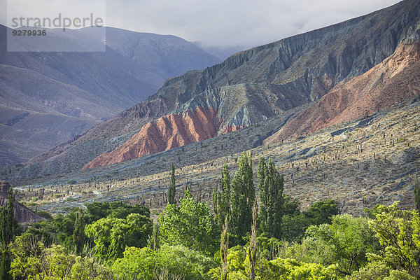 Panorama  üppige Vegetation beim Fluss Purmamarca  hinten der Cerro de los Siete Colores oder Siebenfarbenberg  bei Purmamarca  Jujuy  Argentinien