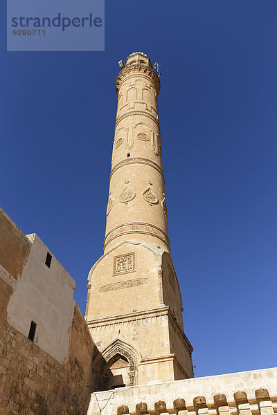 Minarett von Große Moschee  Ulu Camii  Mardin  Südostanatolien  Anatolien  Türkei
