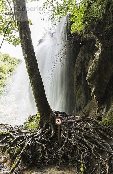 Wasserfall  Plitvicer Seen  Plitvi?ki Ljeskovac  Gespanschaft Lika-Senj  Kroatien