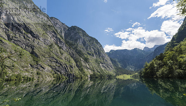 Obersee mit Wasserspiegelung  Salet am Königssee  Nationalpark Berchtesgaden  Berchtesgadener Land  Oberbayern  Bayern  Deutschland