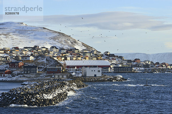 Fischereihafen Fischerhafen Felsbrocken Eingang Norwegen Steg