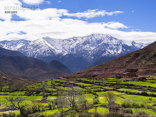 Ausblick auf das Atlasgebirge  Ourika-Tal  Atlas-Gebirge  Marrakesch-Tensift-El Haouz  Marokko