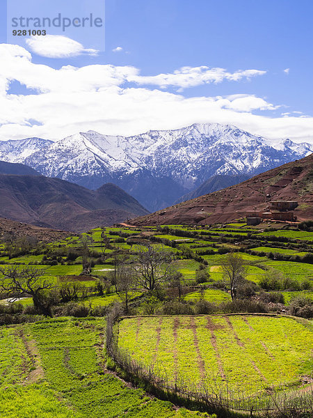 Ausblick auf das Atlasgebirge  Ourika-Tal  Atlas-Gebirge  Marrakesch-Tensift-El Haouz  Marokko