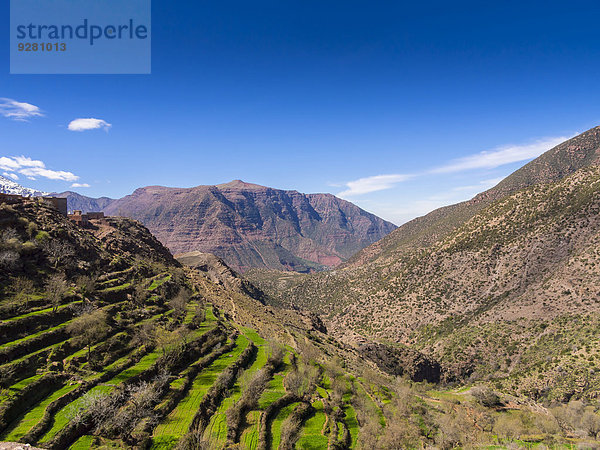 Atlas-Gebirge  Anammer  Ourika-Tal  Marrakesch-Tensift-El Haouz  Marokko