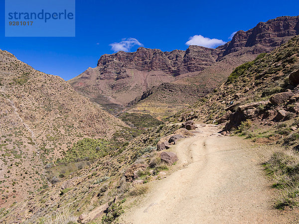 Lehmpfad im Atlas-Gebirge  Anammer  Ourika-Tal  Marrakesch-Tensift-El Haouz  Marokko