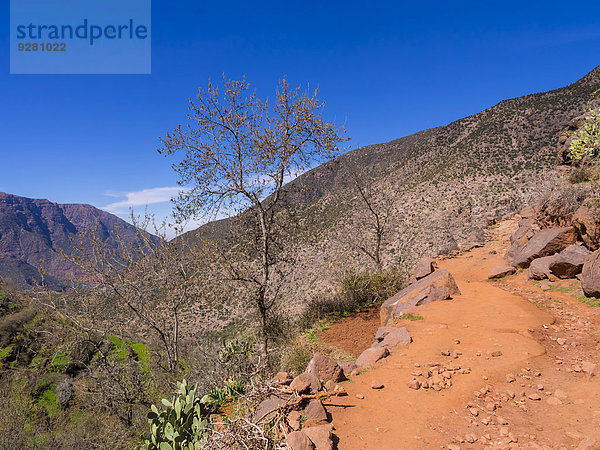 Lehmpfad im Ourika-Tal  Atlas-Gebirge  Marrakesch-Tensift-El Haouz  Marokko