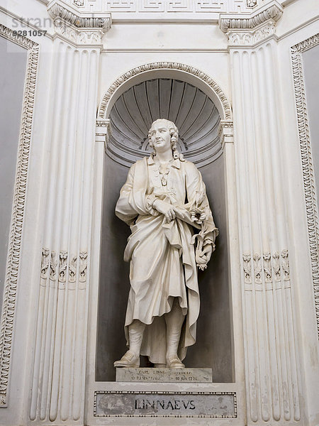 Statue von Linnaeus in der Villa Giulia  Palermo  Sizilien  Italien