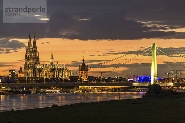 Rheinpanorama mit Dom  Severinsbrücke  Musical Dome und Kirche Groß St. Martin  Abenddämmerung  Köln  Nordrhein-Westfalen  Deutschland