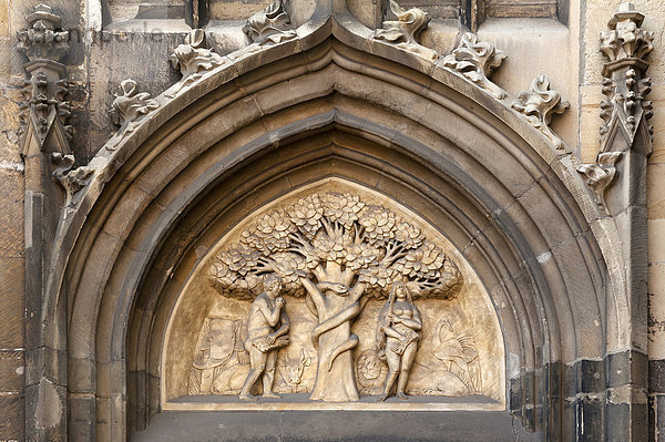Reliefdarstellung vom Sündenfall  Adam und Eva im Paradies  am Dom Sankt Paulus zu Münster  Münsterland  Nordrhein-Westfalen  Deutschland