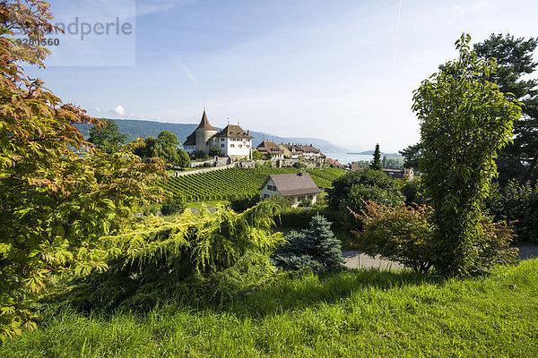 Schloss Erlach  auf einem Hügel gelegen und von Weinbergen umgeben  Erlach  Kanton Bern  Schweiz