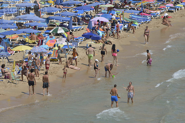 Badegäste am Strand Playa Levante  Benidorm  Costa Blanca  Spanien