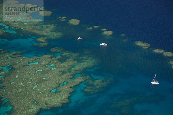 Luftaufnahme  Great Barrier Reef  UNESCO Weltnaturerbe  Queensland  Australien