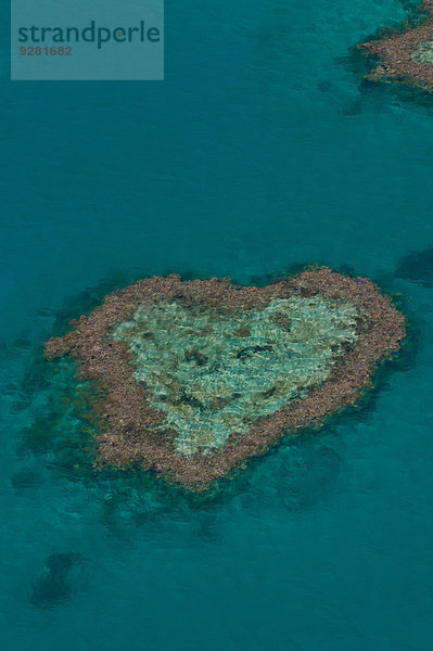 Luftaufnahme  Heart Reef  Great Barrier Reef  UNESCO Weltnaturerbe  Queensland  Australien