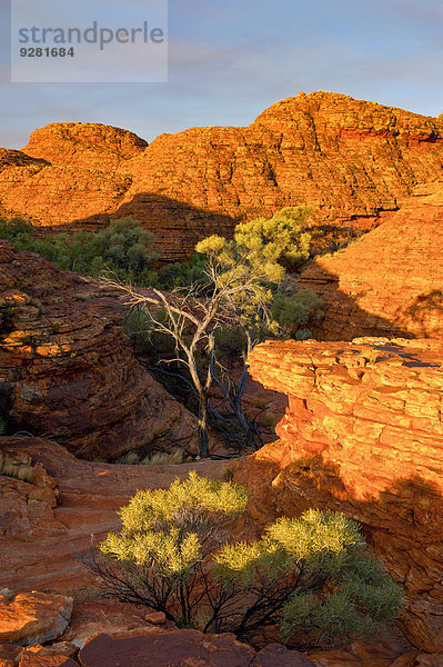 Kings Canyon  Northern Territory  Australien