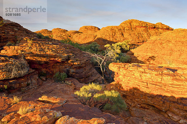 Kings Canyon  Northern Territory  Australien
