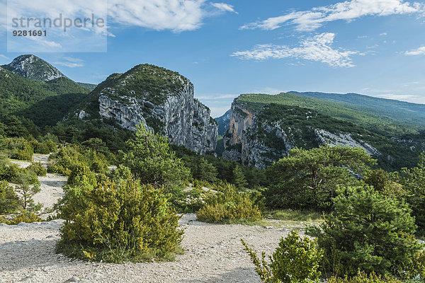 Schlucht Gorges du Verdon im Nationalpark Verdon  Provence  Alpes-de-Haute-Provence  Provence-Alpes-Côte d?Azur  Frankreich