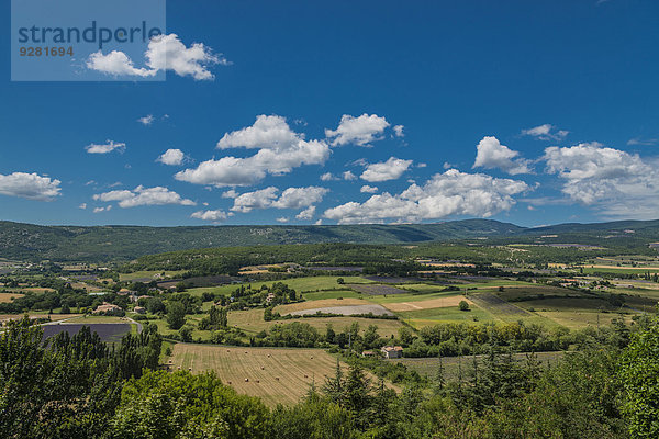 Lavendelfelder  Wiesen und Getreidefelder  Ausblick über die Ebene von Sault  Provence  Vaucluse  Provence-Alpes-Côte d?Azur  Frankreich