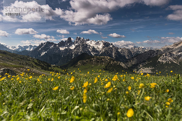 Dolomiten mit Bergwiese  Sexten  Südtirol  Italien