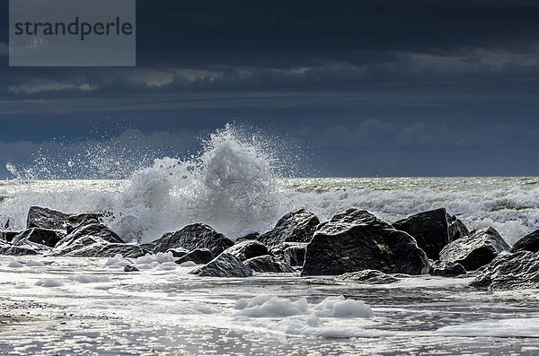 Aufschlagende Wellen an Steinen  Nordseeküste  Holmesland  Jütland  Dänemark