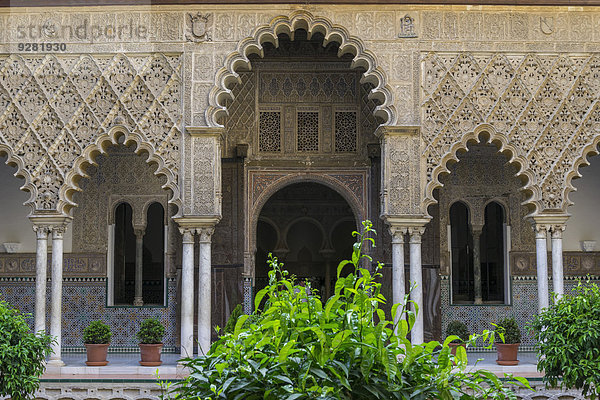 Andalusien Sevilla Spanien