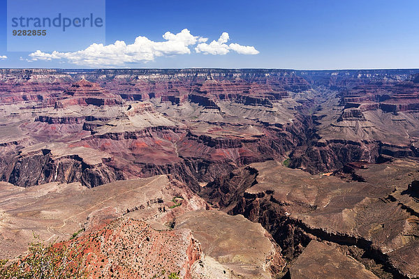 Ausblick von der South Rim des Grand Canyon  Arizona  Amerika  USA