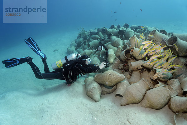 Fisch Pisces Unterwasseraufnahme fotografieren Fotograf Amphore Ägypten Hurghada Rotes Meer Fischschwarm