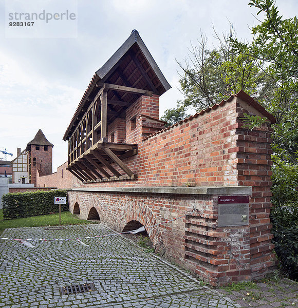 Reste der mittelalterlichen Stadtmauer mit Wehrgang am Hospitaler Tor  Stralsund  Mecklenburg-Vorpommern  Deutschland