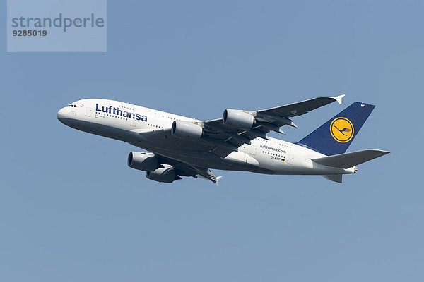 Airbus A380-800 der Lufthansa beim Start vom Frankfurter Flughafen  Frankfurt am Main  Hessen  Deutschland