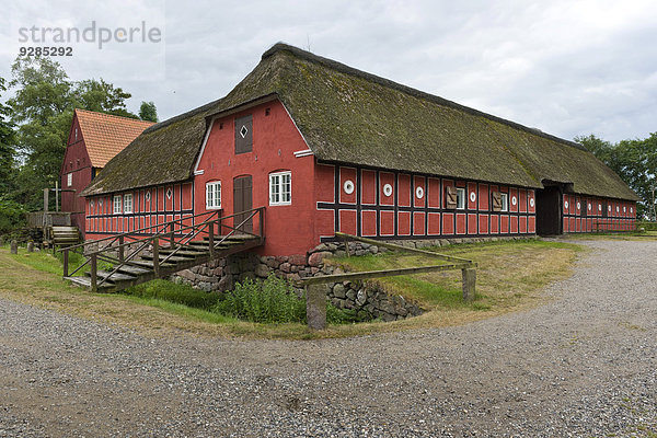 Mühle Gebäude Dänemark streichen streicht streichend anstreichen anstreichend rot Reetdach Fyrkat Hälfte alt