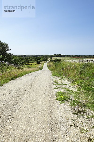 Gravelled road